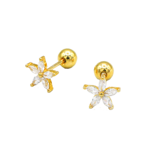 Demure Star Screw Back Earrings